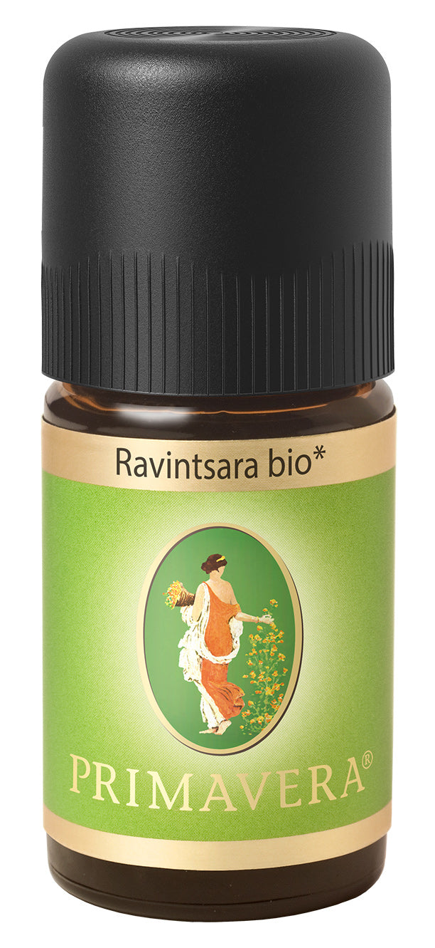 Bio Ravintsara, 5 ml - All-Bio Naturkost